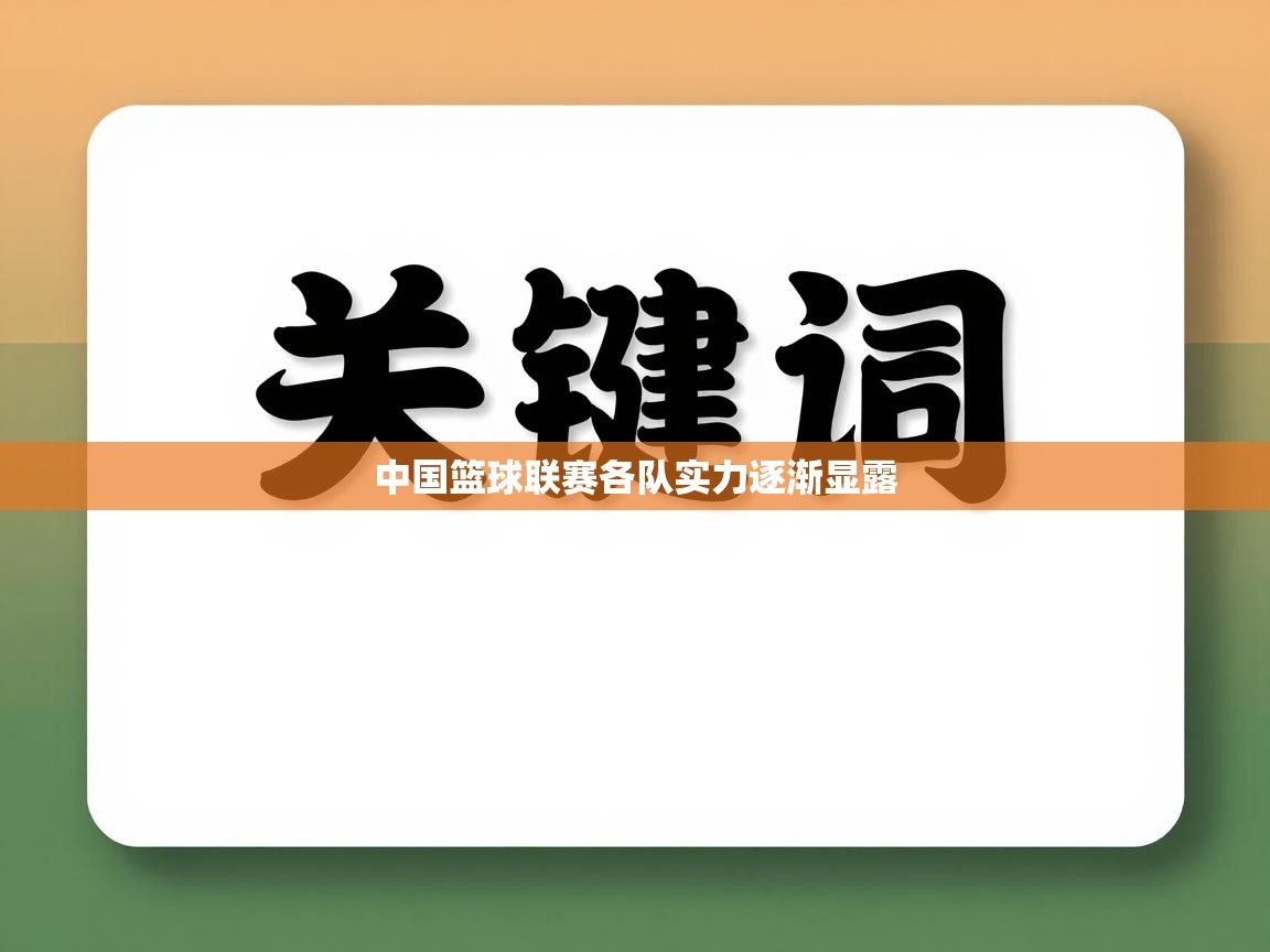 中国篮球联赛各队实力逐渐显露  第2张