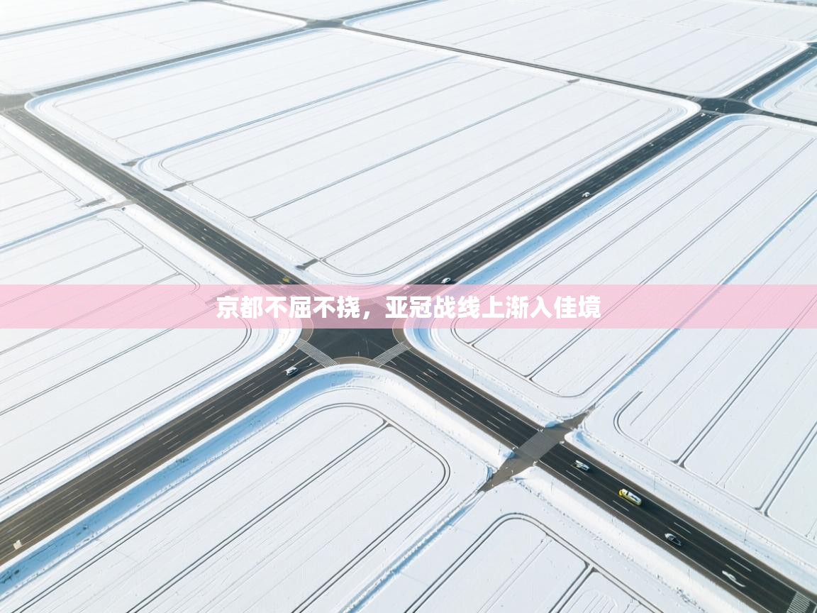 京都不屈不挠，亚冠战线上渐入佳境  第2张