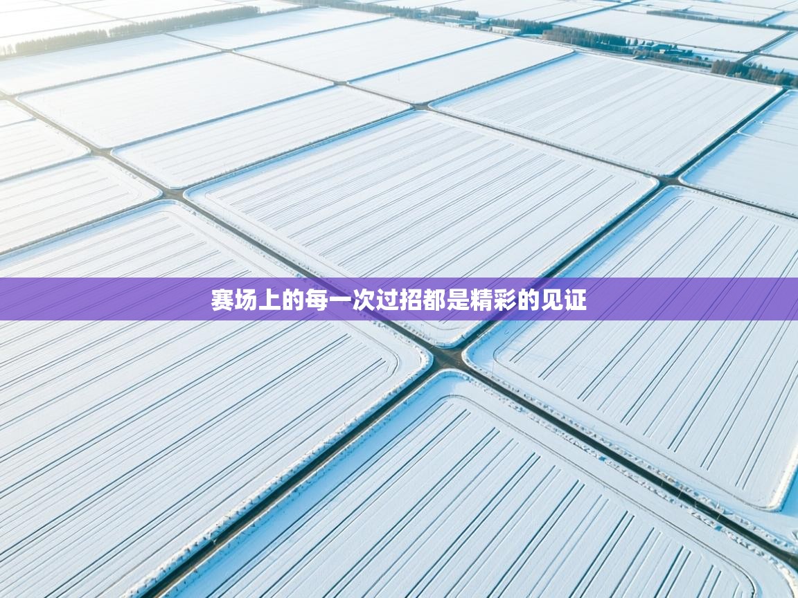 赛场上的每一次过招都是精彩的见证  第2张